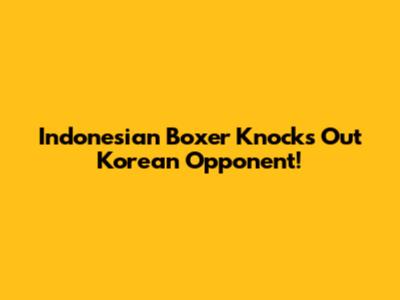 Indonesian Boxer Knocks Out Korean Opponent!