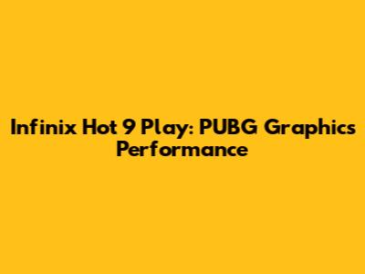Infinix Hot 9 Play: PUBG Graphics Performance