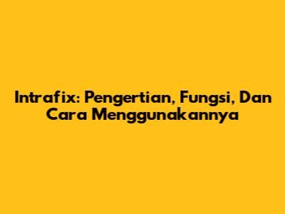 Intrafix: Pengertian, Fungsi, Dan Cara Menggunakannya