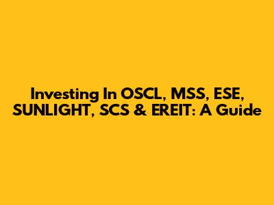 Investing In OSCL, MSS, ESE, SUNLIGHT, SCS & EREIT: A Guide