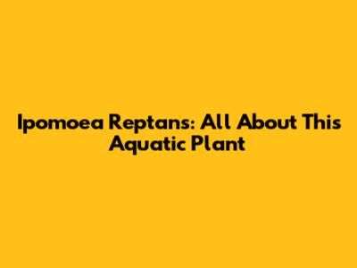 Ipomoea Reptans: All About This Aquatic Plant