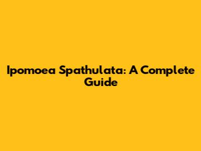 Ipomoea Spathulata: A Complete Guide