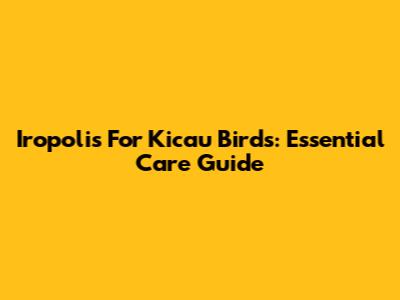 Iropolis For Kicau Birds: Essential Care Guide