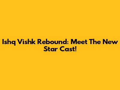 Ishq Vishk Rebound: Meet The New Star Cast!