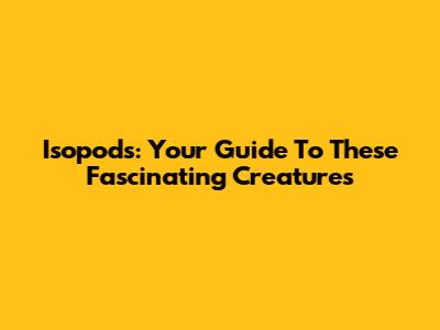Isopods: Your Guide To These Fascinating Creatures