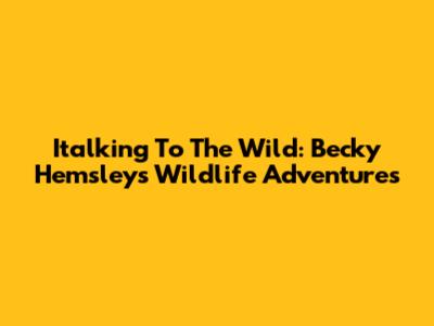 Italking To The Wild: Becky Hemsley's Wildlife Adventures