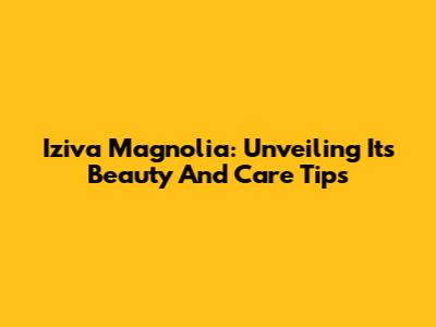 Iziva Magnolia: Unveiling Its Beauty And Care Tips