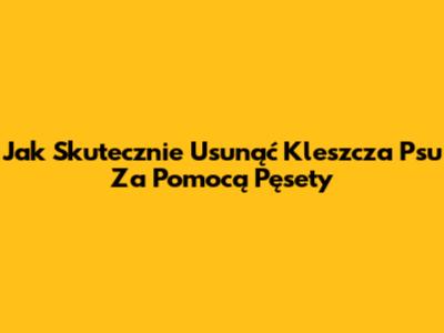 Jak Skutecznie Usunąć Kleszcza Psu Za Pomocą Pęsety