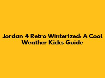 Jordan 4 Retro Winterized: A Cool Weather Kicks Guide