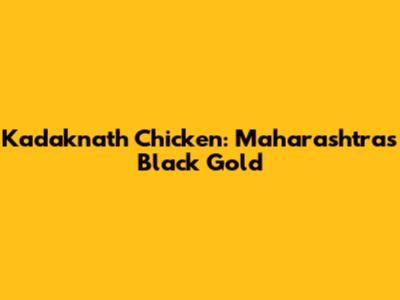 Kadaknath Chicken: Maharashtra's Black Gold