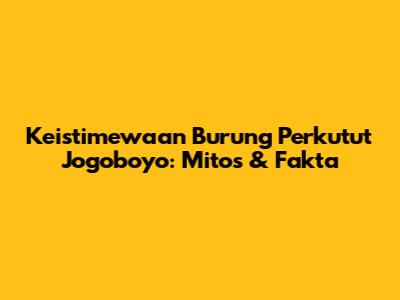 Keistimewaan Burung Perkutut Jogoboyo: Mitos & Fakta