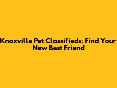 Knoxville Pet Classifieds: Find Your New Best Friend