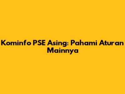 Kominfo PSE Asing: Pahami Aturan Mainnya
