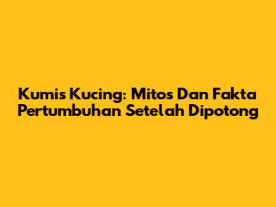 Kumis Kucing: Mitos Dan Fakta Pertumbuhan Setelah Dipotong
