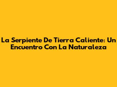 La Serpiente De Tierra Caliente: Un Encuentro Con La Naturaleza