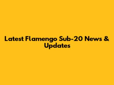 Latest Flamengo Sub-20 News & Updates