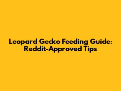 Leopard Gecko Feeding Guide: Reddit-Approved Tips