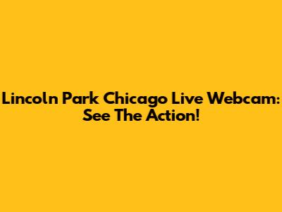 Lincoln Park Chicago Live Webcam: See The Action!