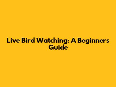 Live Bird Watching: A Beginner's Guide