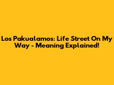 Los Pakualamos: Life Street On My Way - Meaning Explained!