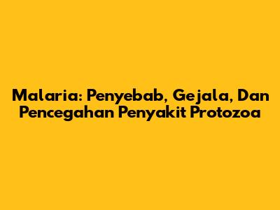 Malaria: Penyebab, Gejala, Dan Pencegahan Penyakit Protozoa