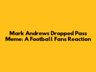 Mark Andrews Dropped Pass Meme: A Football Fan's Reaction