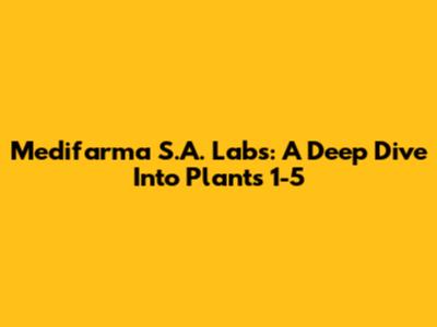 Medifarma S.A. Labs: A Deep Dive Into Plants 1-5