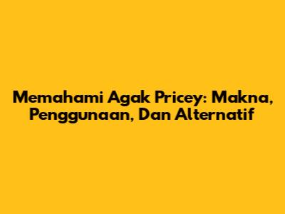 Memahami 'Agak Pricey': Makna, Penggunaan, Dan Alternatif