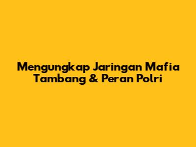 Mengungkap Jaringan Mafia Tambang & Peran Polri