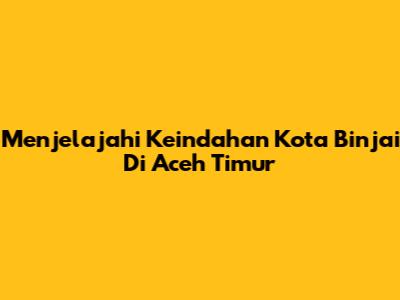 Menjelajahi Keindahan Kota Binjai Di Aceh Timur
