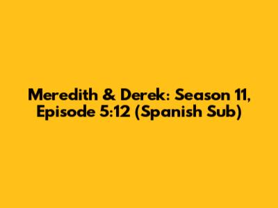 Meredith & Derek: Season 11, Episode 5:12 (Spanish Sub)
