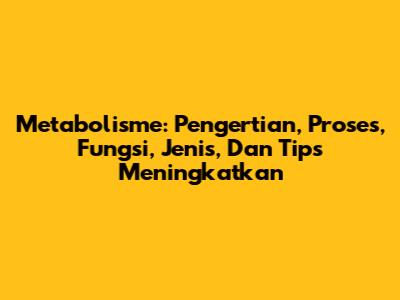 Metabolisme: Pengertian, Proses, Fungsi, Jenis, Dan Tips Meningkatkan