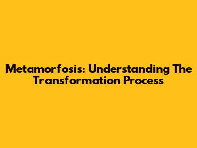 Metamorfosis: Understanding The Transformation Process