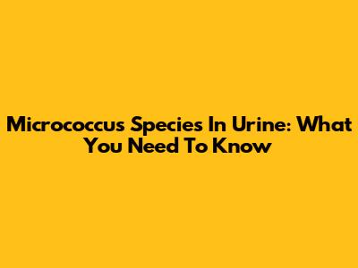 Micrococcus Species In Urine: What You Need To Know