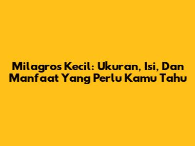 Milagros Kecil: Ukuran, Isi, Dan Manfaat Yang Perlu Kamu Tahu