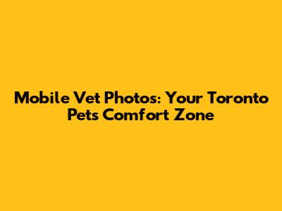 Mobile Vet Photos: Your Toronto Pet's Comfort Zone