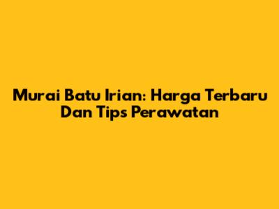 Murai Batu Irian: Harga Terbaru Dan Tips Perawatan