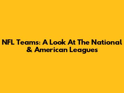 NFL Teams: A Look At The National & American Leagues