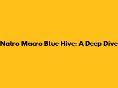 Natro Macro Blue Hive: A Deep Dive