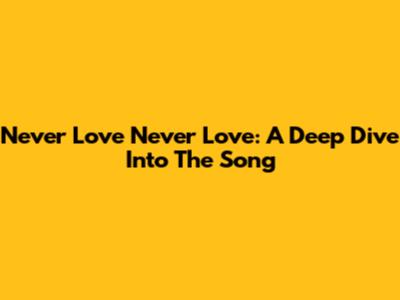 Never Love Never Love: A Deep Dive Into The Song