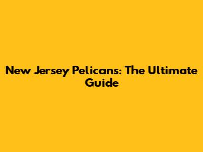 New Jersey Pelicans: The Ultimate Guide