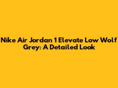 Nike Air Jordan 1 Elevate Low Wolf Grey: A Detailed Look