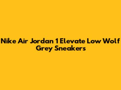 Nike Air Jordan 1 Elevate Low Wolf Grey Sneakers