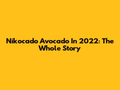 Nikocado Avocado In 2022: The Whole Story