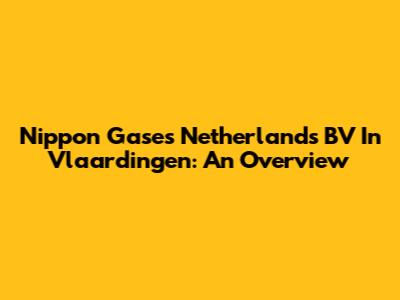 Nippon Gases Netherlands BV In Vlaardingen: An Overview