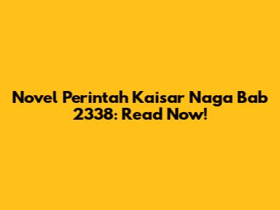 Novel Perintah Kaisar Naga Bab 2338: Read Now!