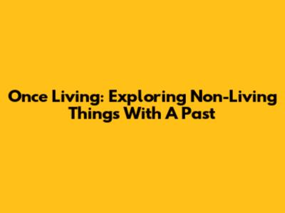 Once Living: Exploring Non-Living Things With A Past