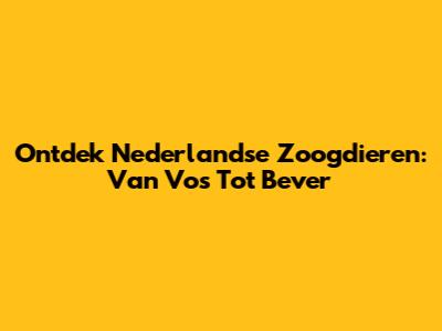 Ontdek Nederlandse Zoogdieren: Van Vos Tot Bever