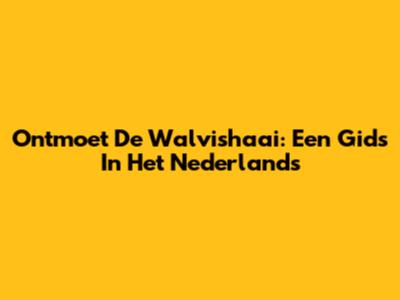 Ontmoet De Walvishaai: Een Gids In Het Nederlands