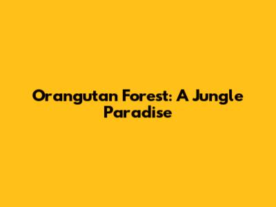 Orangutan Forest: A Jungle Paradise